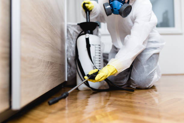 Best Best Pest Control Companies  in Lindsay, TX