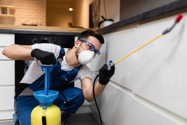 Best Pest Inspection Near Me  in Lindsay, TX