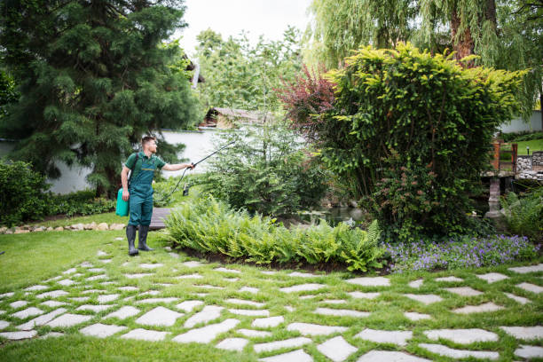 Best Commercial Pest Control Services  in Lindsay, TX
