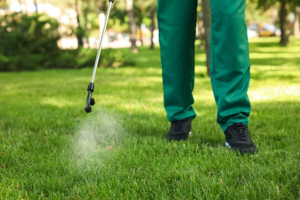 Lindsay, TX Pest Control Company