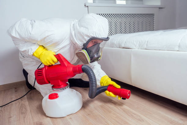Best Pest Prevention Services  in Lindsay, TX