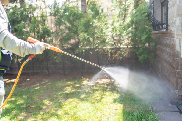 Best Pest Control for Restaurants  in Lindsay, TX